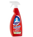 Wegański Wielofunkcyjny Środek Czyszczący